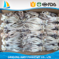 Tamaño 400 -600g congelado Argentina Squid Head